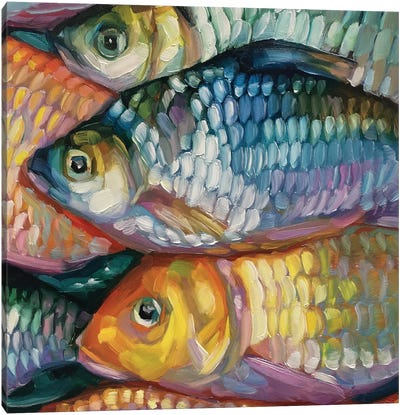 Fish Study XXXVI Canvas Art Print - Seafood Art