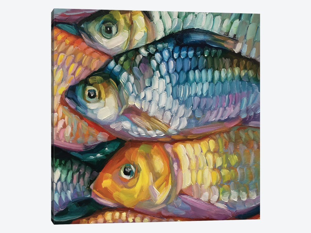 Fish Study XXXVI by Holly Storlie 1-piece Canvas Wall Art