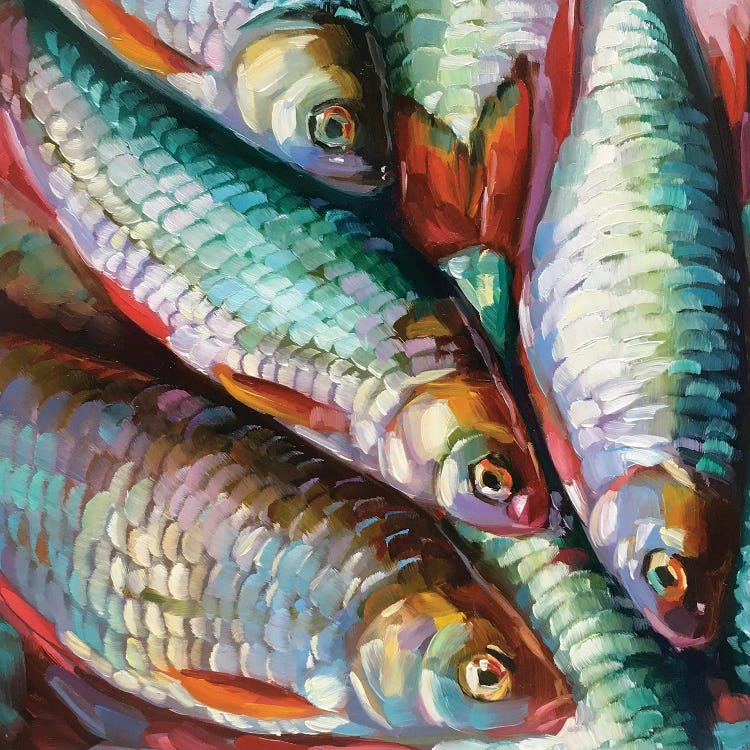 Fish Study XXIX