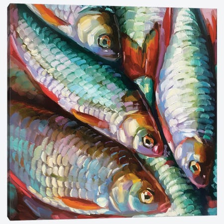 Fish Study XXIX Canvas Print #HSR3} by Holly Storlie Canvas Artwork