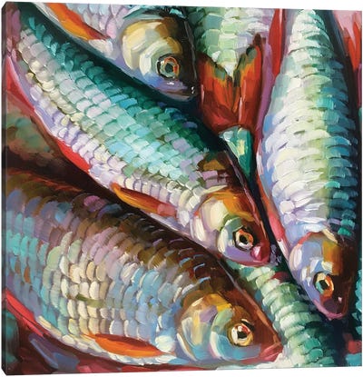 Fish Study XXIX Canvas Art Print - Holly Storlie