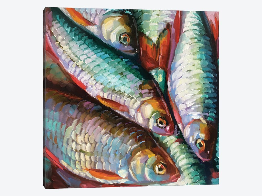 Fish Study XXIX by Holly Storlie 1-piece Canvas Art