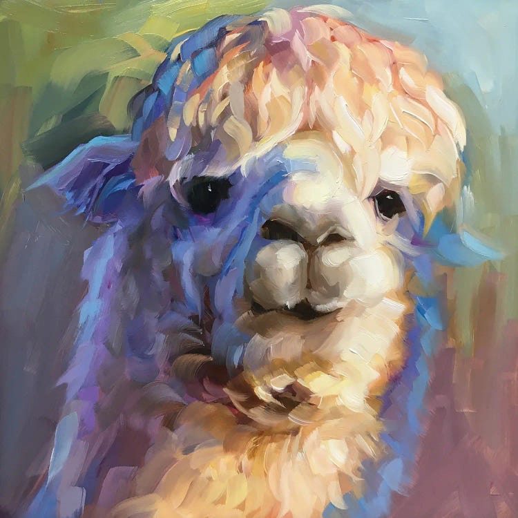 Alpaca Study