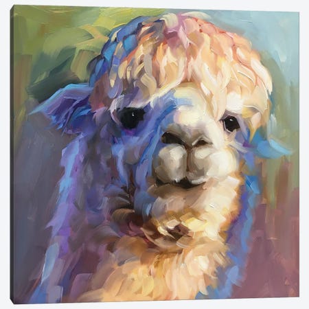 Alpaca Study Canvas Print #HSR40} by Holly Storlie Canvas Art Print