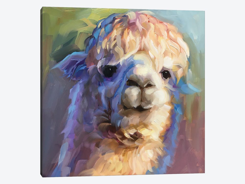 Alpaca Study by Holly Storlie 1-piece Canvas Art