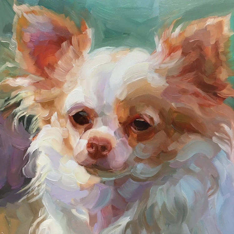 Dog Study III