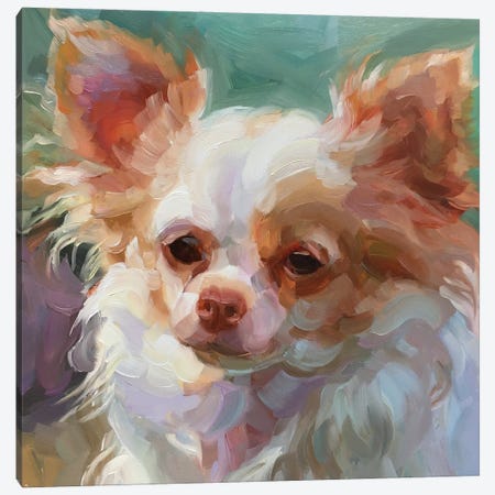 Dog Study III Canvas Print #HSR41} by Holly Storlie Canvas Art Print