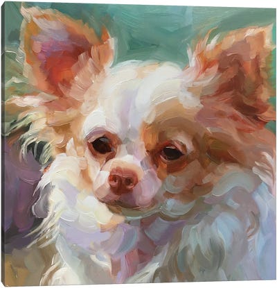 Dog Study III Canvas Art Print - Chihuahua Art
