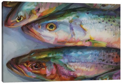 Fish Study XLVI Canvas Art Print - Seafood Art