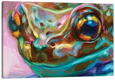 Frog Study V Canvas Art Print - Holly Storlie