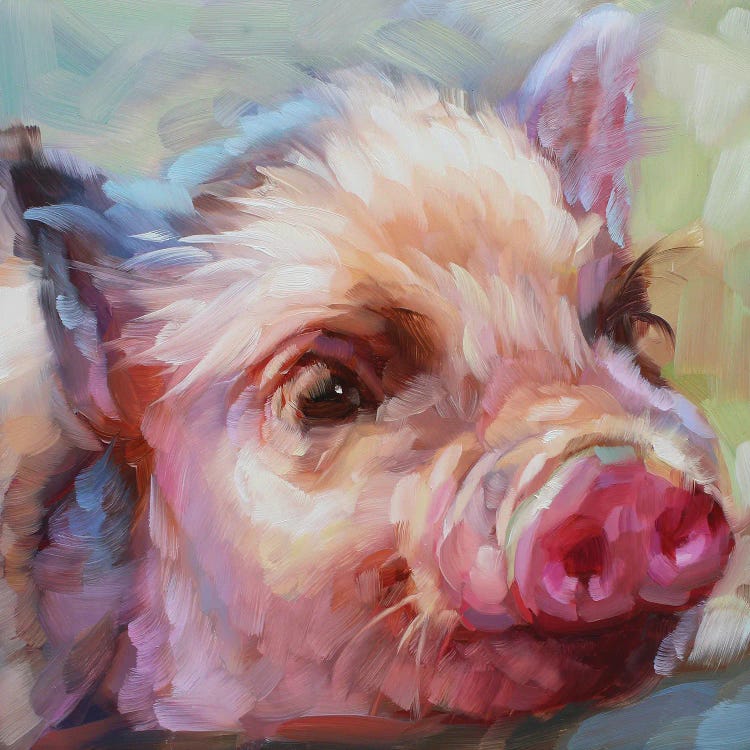 Pig Study