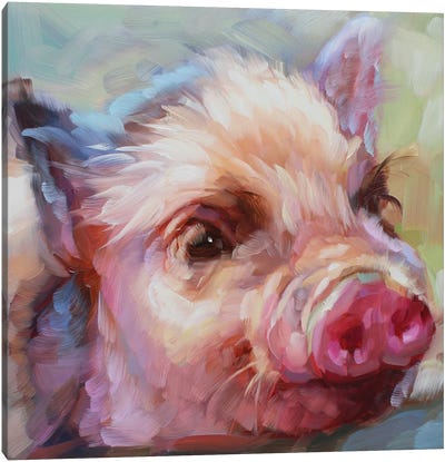 Pig Study Canvas Art Print - Holly Storlie