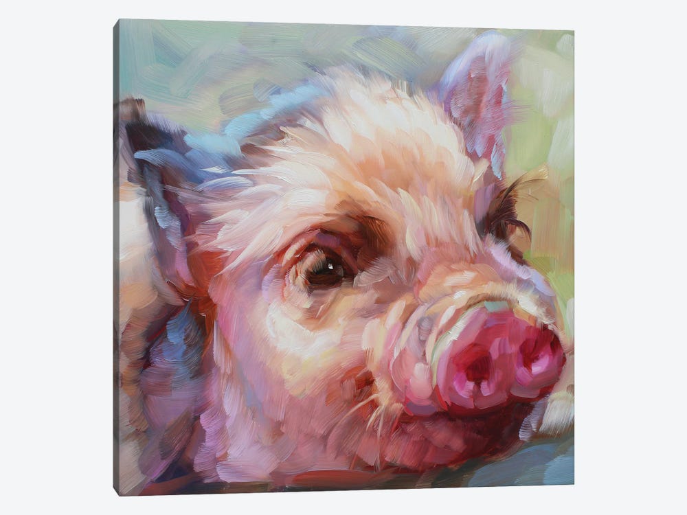 Pig Study by Holly Storlie 1-piece Canvas Print