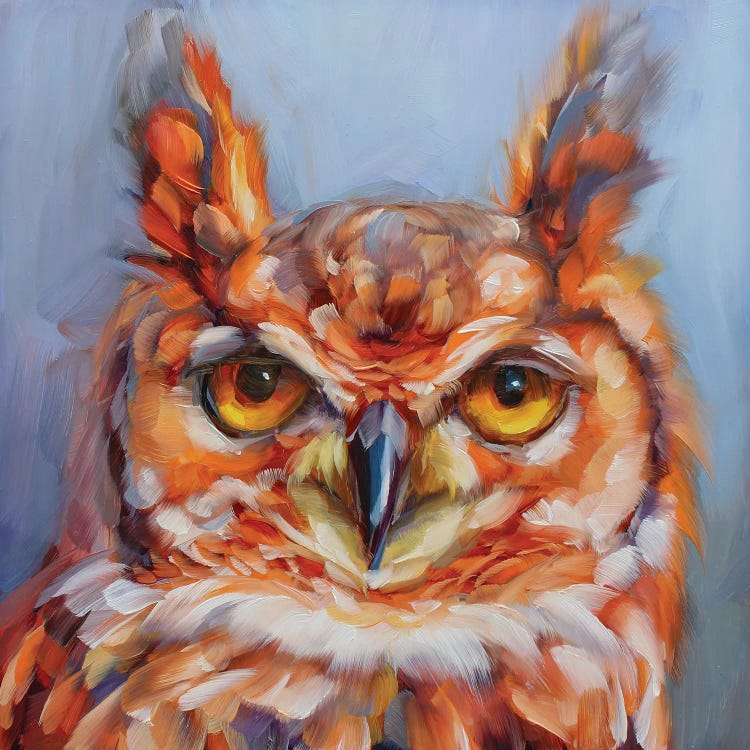 Owl Study XVIII