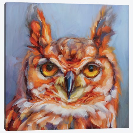 Owl Study XVIII Canvas Print #HSR52} by Holly Storlie Canvas Art