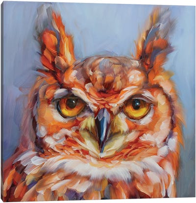 Owl Study XVIII Canvas Art Print - Holly Storlie