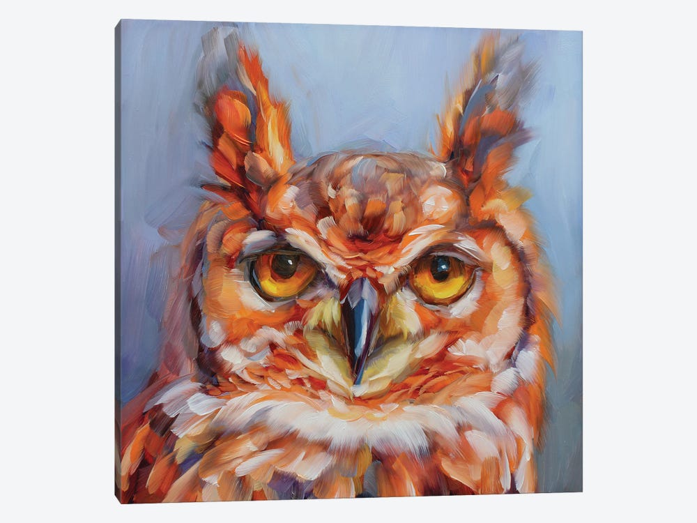 Owl Study XVIII by Holly Storlie 1-piece Canvas Print