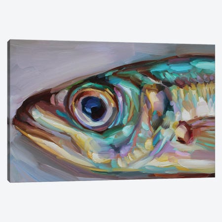 Fish Study XV Canvas Print #HSR53} by Holly Storlie Canvas Wall Art