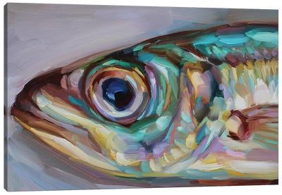 Fish Study XV Canvas Art Print - Seafood Art