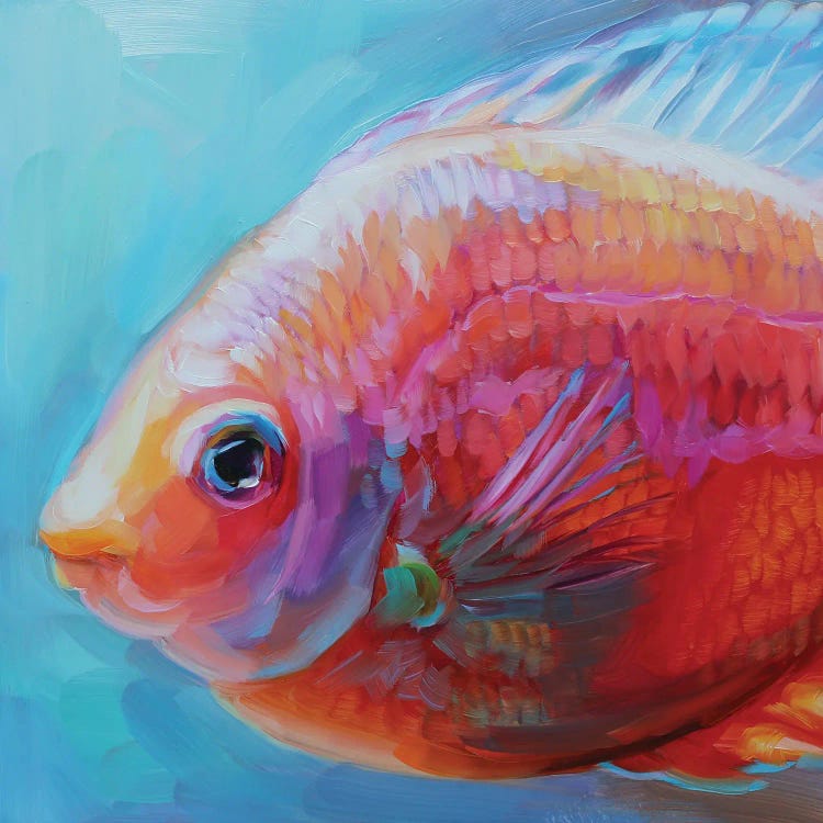 Fish Study XLV