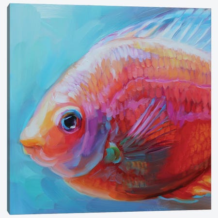 Fish Study XLV Canvas Print #HSR55} by Holly Storlie Canvas Print