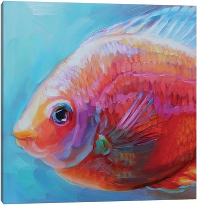 Fish Study XLV Canvas Art Print - Holly Storlie