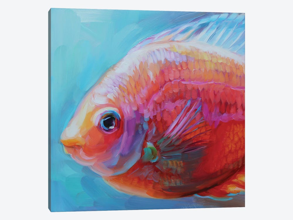 Fish Study XLV by Holly Storlie 1-piece Canvas Artwork