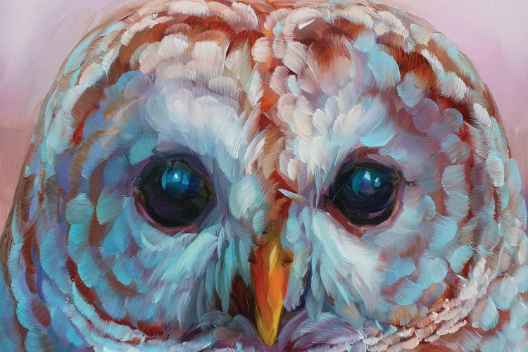 Owl Study XVII