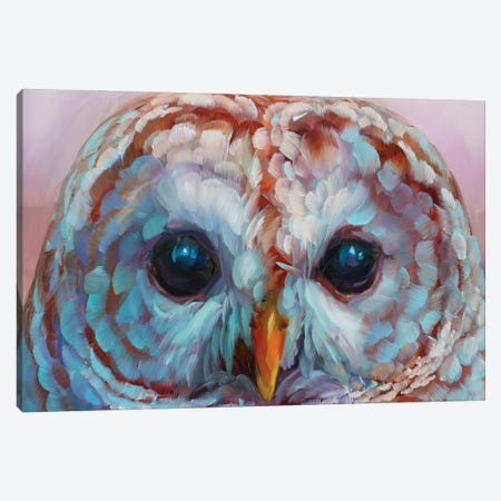 Owl Study XVII Canvas Print #HSR58} by Holly Storlie Canvas Art