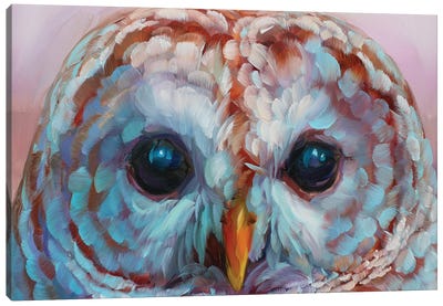 Owl Study XVII Canvas Art Print - Holly Storlie
