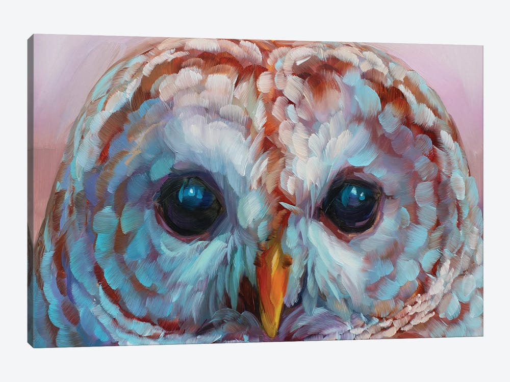 Owl Study XVII by Holly Storlie 1-piece Art Print
