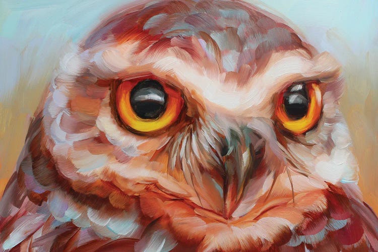 Owl Study XVI