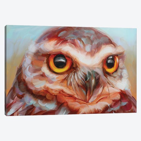 Owl Study XVI Canvas Print #HSR59} by Holly Storlie Canvas Artwork