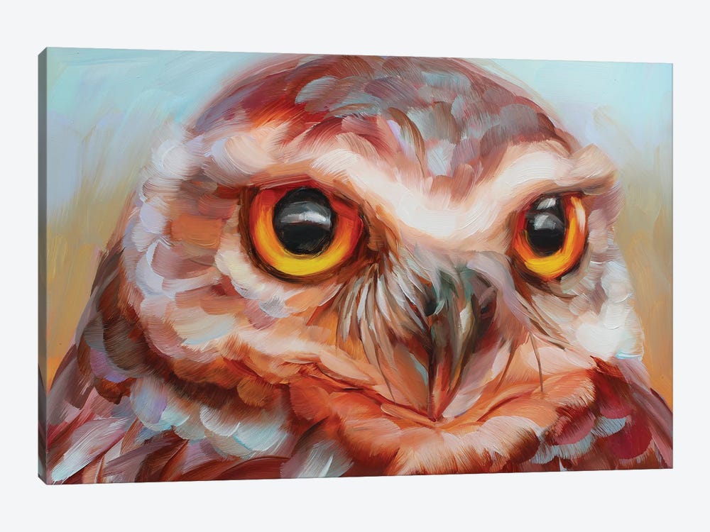Owl Study XVI by Holly Storlie 1-piece Canvas Artwork