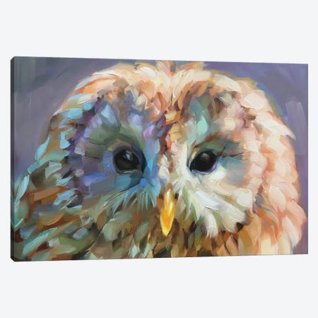 Owl Study X Canvas Print #HSR5} by Holly Storlie Canvas Print
