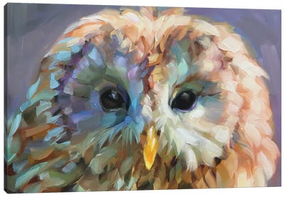 Owl Study X Canvas Art Print - Holly Storlie