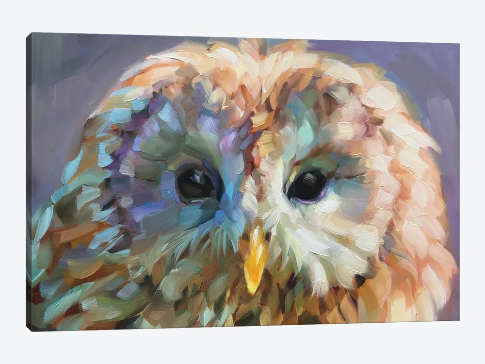Owl Study X by Holly Storlie 1-piece Canvas Art