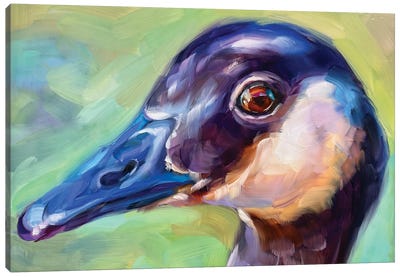 Goose Study II Canvas Art Print - Goose Art