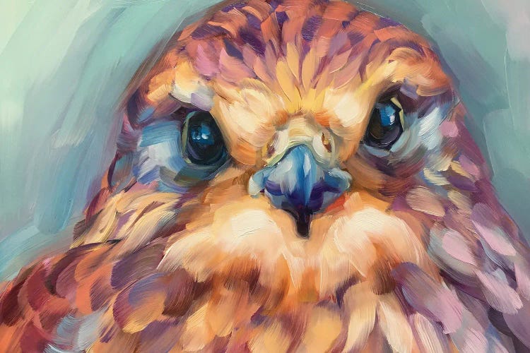 Baby Hawk Study