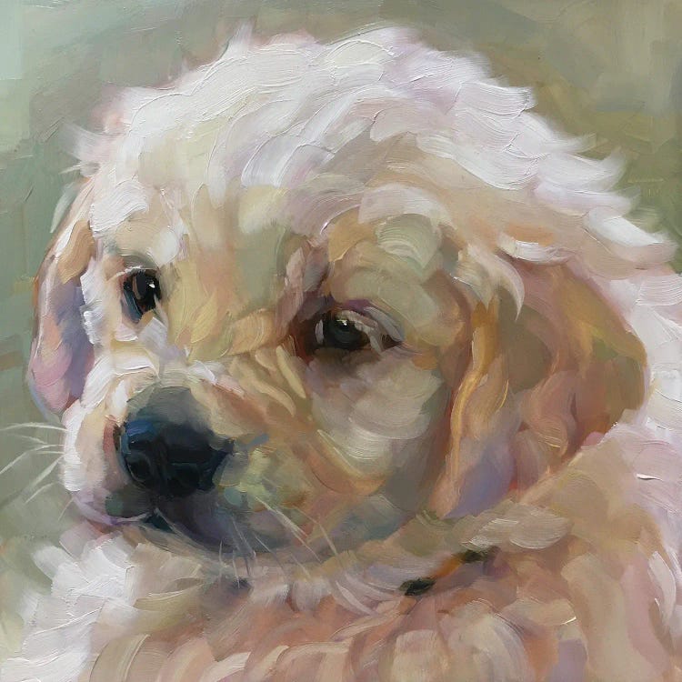 Dog Study II