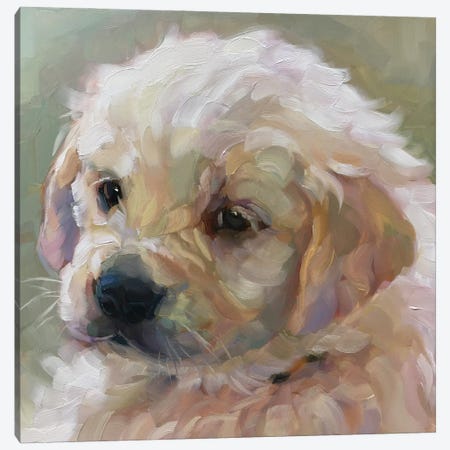 Dog Study II Canvas Print #HSR65} by Holly Storlie Canvas Wall Art