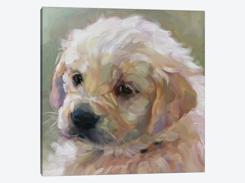 Dog Study II by Holly Storlie 1-piece Art Print