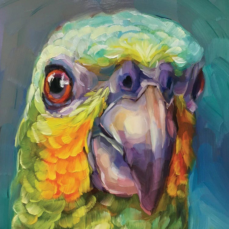 Mini Parrot Study II