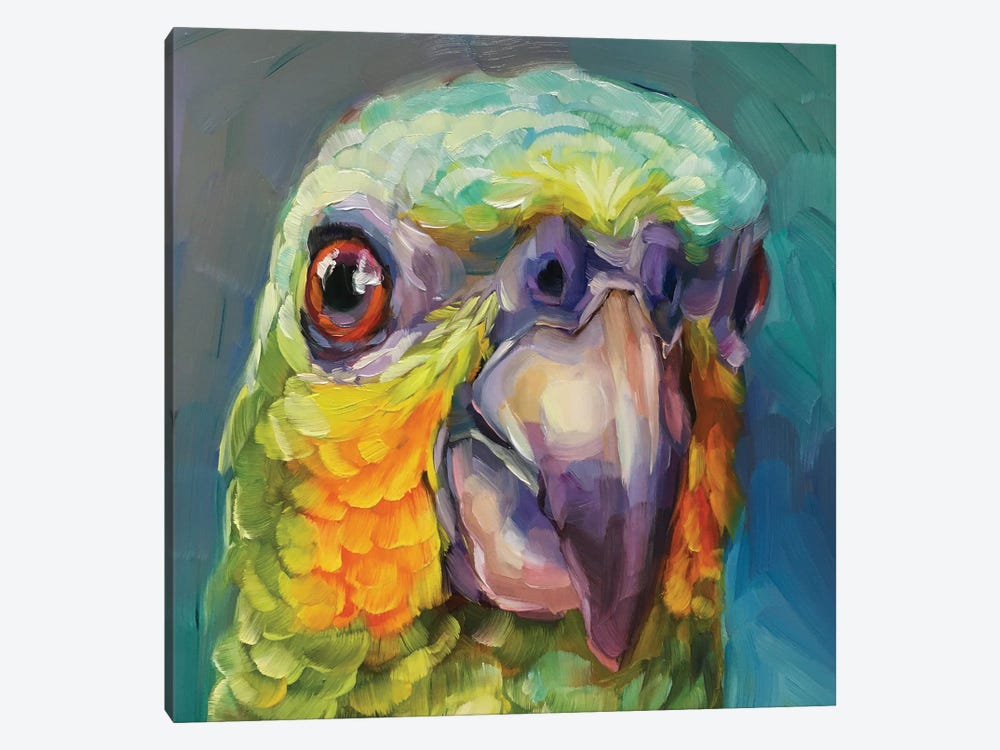 Mini Parrot Study II by Holly Storlie 1-piece Canvas Wall Art