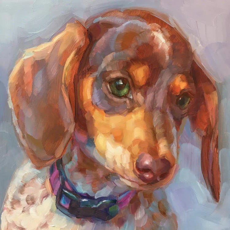 Dog Study V