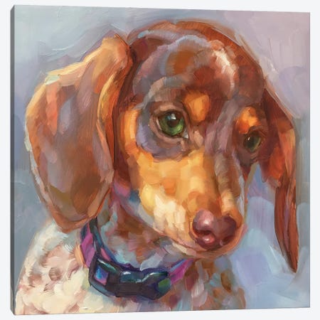 Dog Study V Canvas Print #HSR69} by Holly Storlie Canvas Art Print