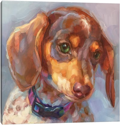 Dog Study V Canvas Art Print - Holly Storlie