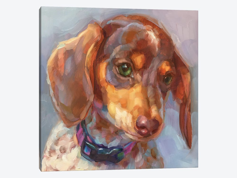Dog Study V by Holly Storlie 1-piece Canvas Art Print