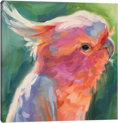 Parrot Study Canvas Art Print - Parrot Art