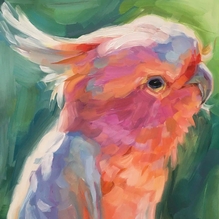 Parrot Study